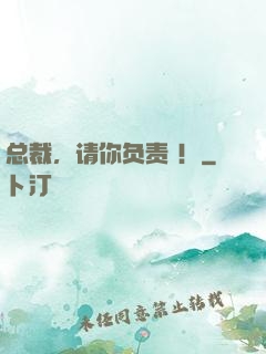 总裁，请你负责 ！